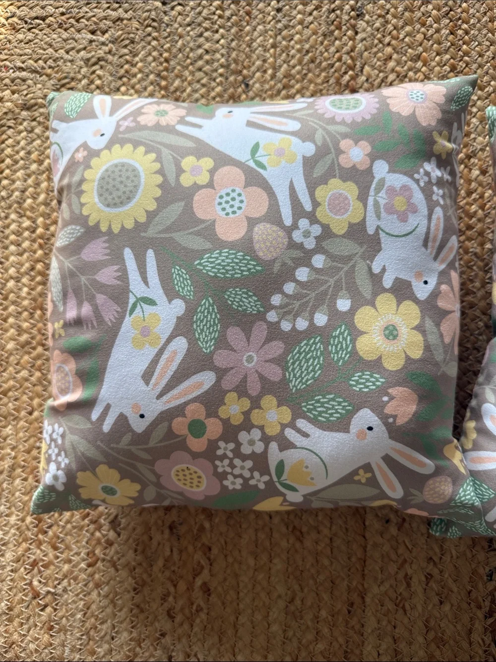 2 Decorative Bunny Floral Throw Pillow Cover - Sage & Pastel 11x11